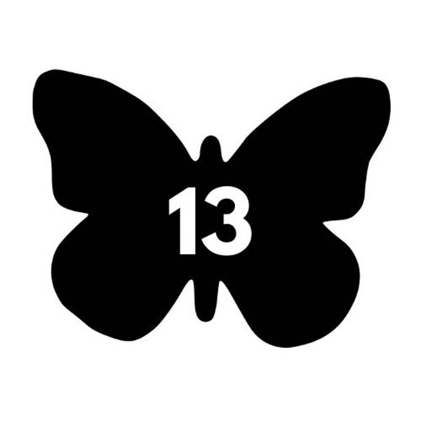 Image link to student story #13
